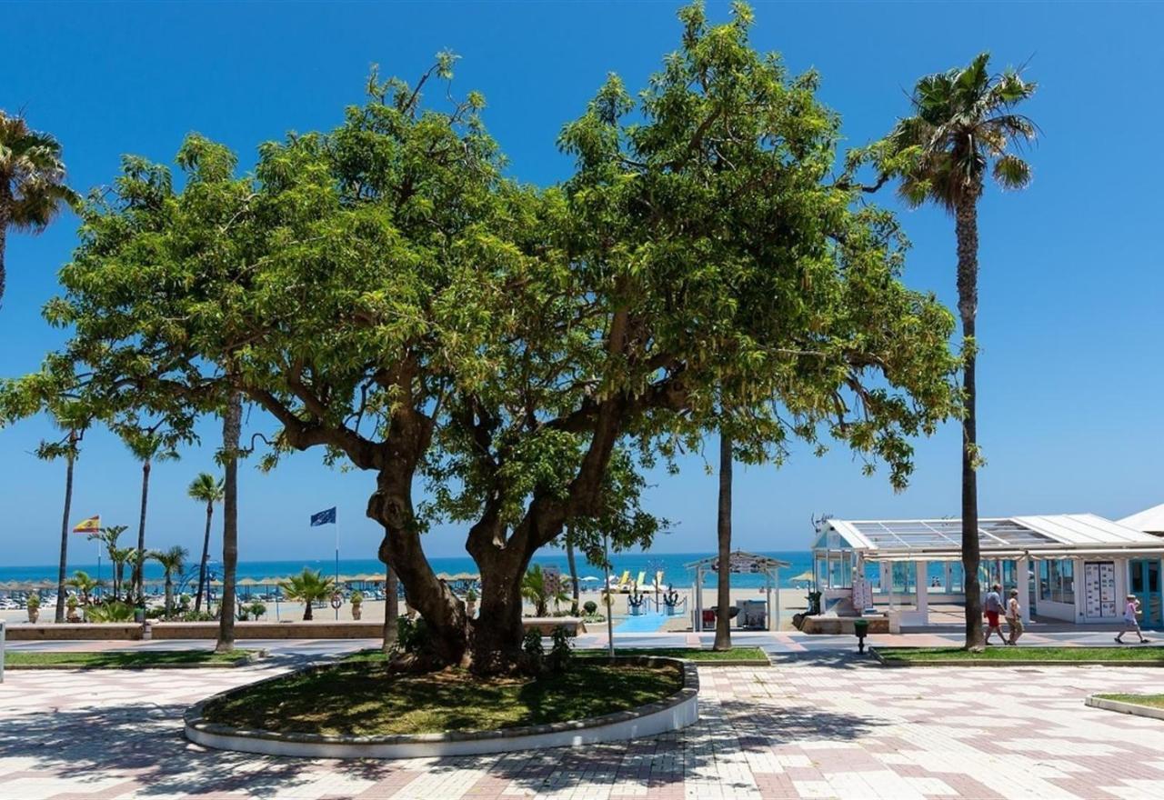 Beach Apartment Montemarcarihuela 托雷莫利诺斯 外观 照片